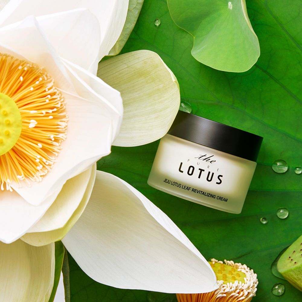 The Pure Lotus Jeju Lotus Leaf Revitalizing Cream 50ml